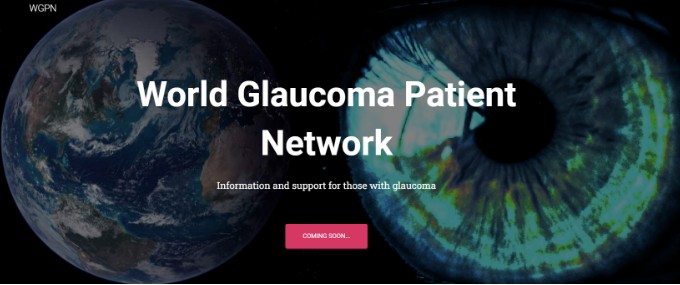 World Glaucoma Patient Network